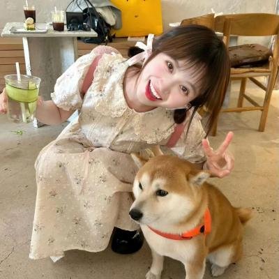 大明星丽莎